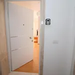 Motra Gjashte